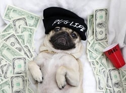 PUG AI